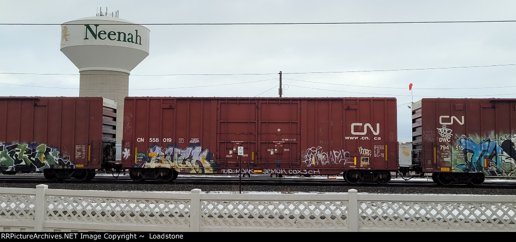 CN 558019